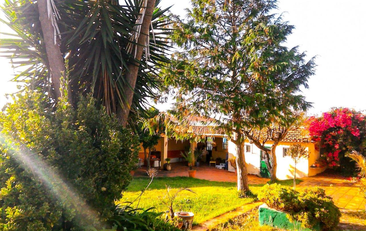 Lugar Saloio Sintra Bed & Breakfast Mem Martins Luaran gambar